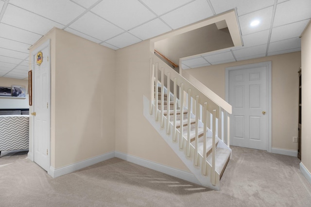 stairway featuring carpet floors, baseboards, and a paneled ceiling