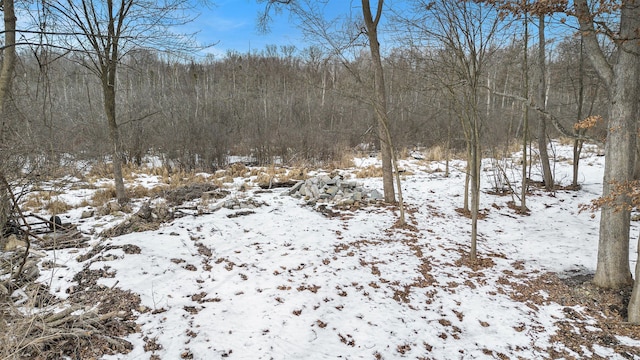 snowy landscape featuring a view of trees