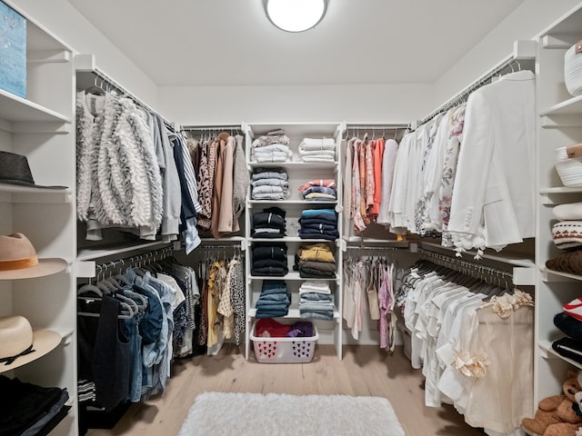 walk in closet featuring wood finished floors