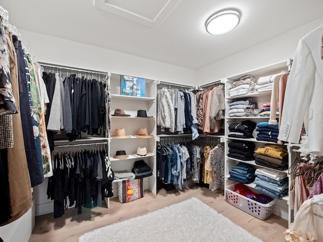 walk in closet with attic access and wood finished floors