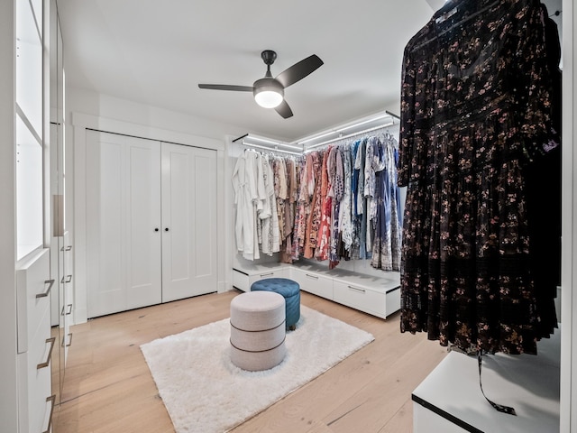 spacious closet featuring a ceiling fan and light wood-type flooring