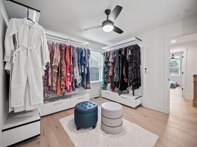 walk in closet with light wood-style floors and ceiling fan