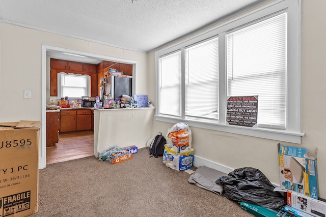 playroom with carpet floors and a textured ceiling