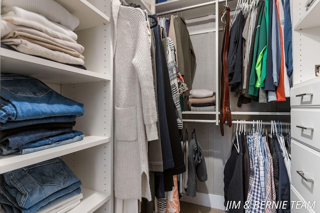 view of spacious closet