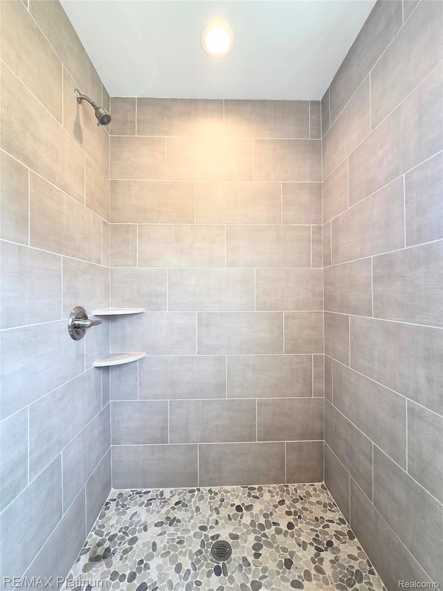 13059 River Rock Pass, Linden, MI 48451 - bathroom featuring a tile shower