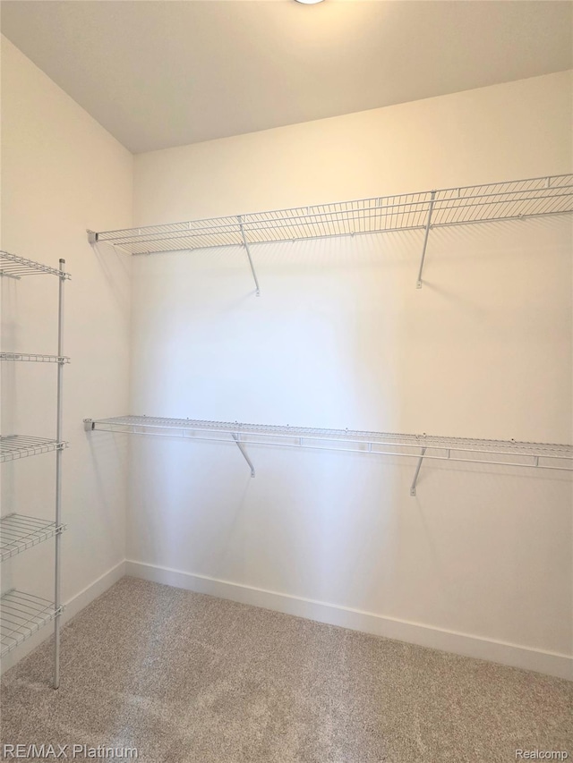 13059 River Rock Pass, Linden, MI 48451 - spacious closet with carpet floors