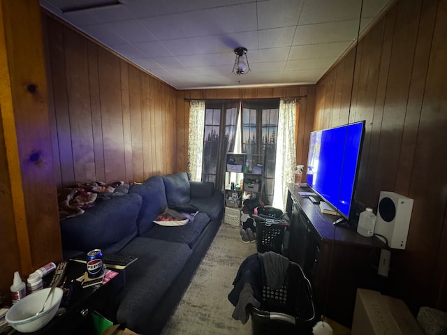 living area with wooden walls