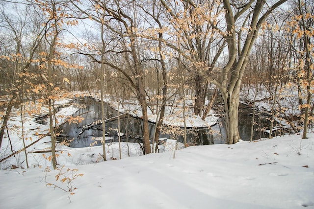 view of snowy yard