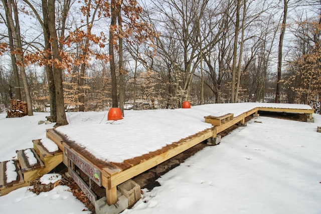 view of yard covered in snow