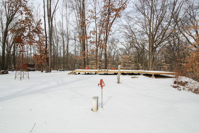 view of yard covered in snow