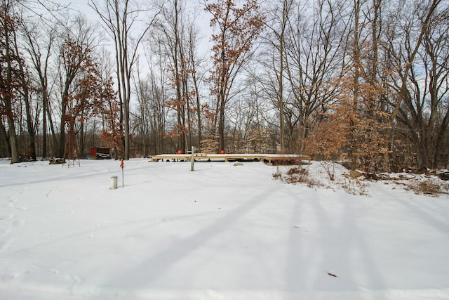 view of yard layered in snow