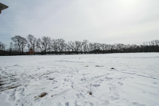 view of snowy yard