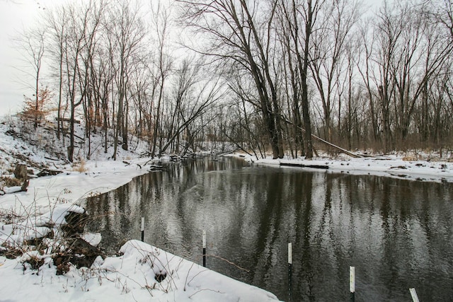 yard covered in snow featuring a dock and a water view