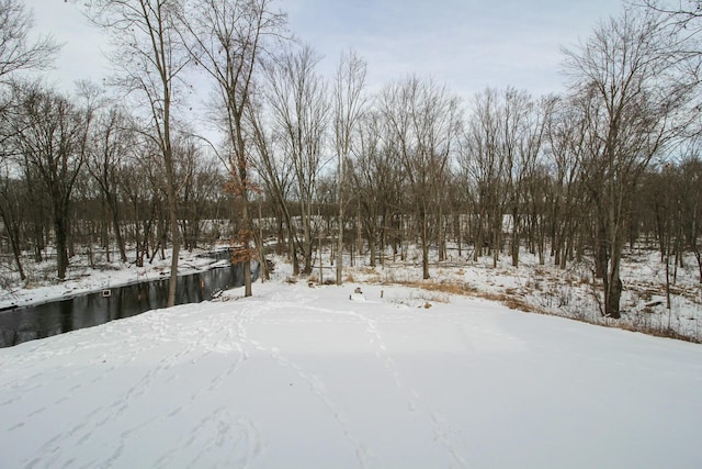 view of yard layered in snow