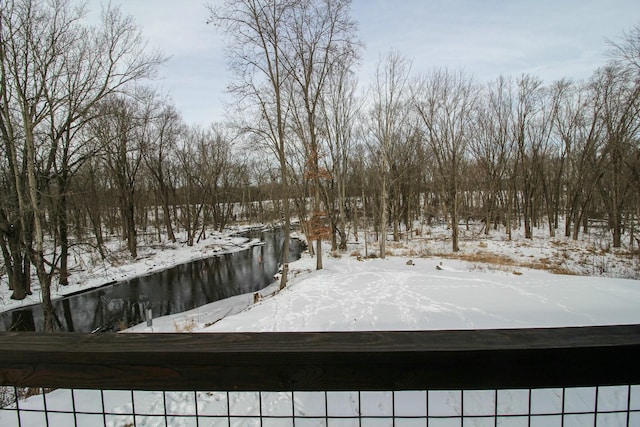 view of yard covered in snow