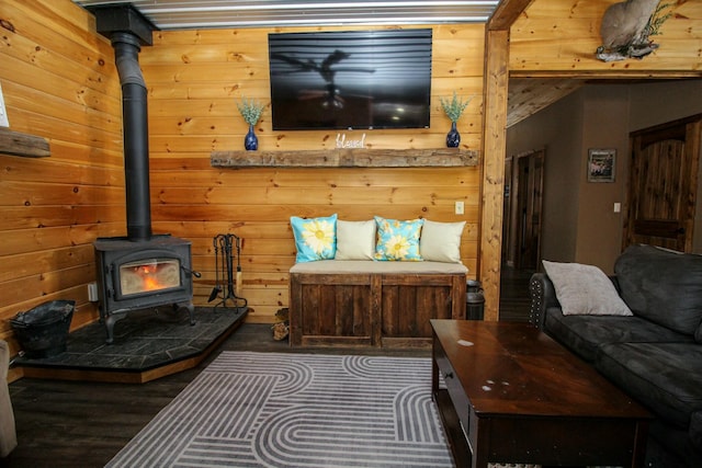 living area with wood walls and a wood stove