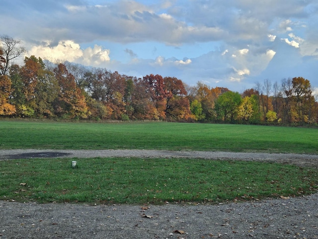 surrounding community with a view of trees and a yard