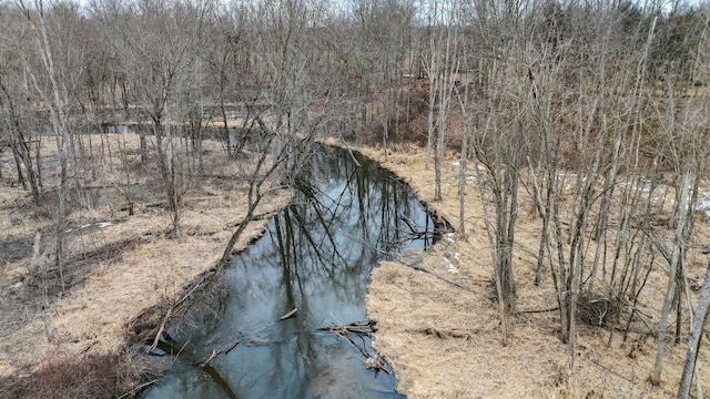 property view of water featuring a wooded view