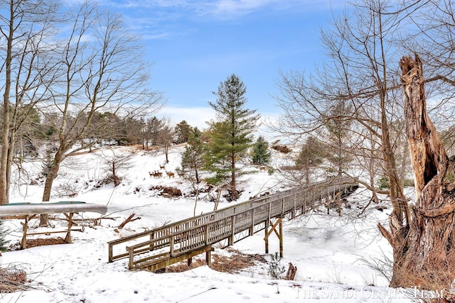 view of yard covered in snow