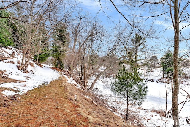 view of yard layered in snow