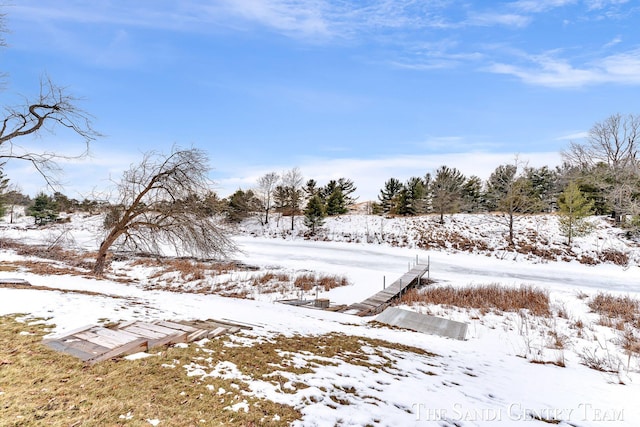 view of yard covered in snow