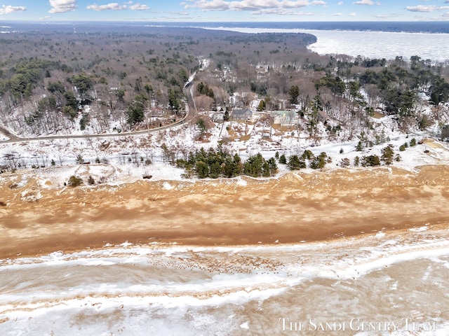 bird's eye view with a water view and a wooded view