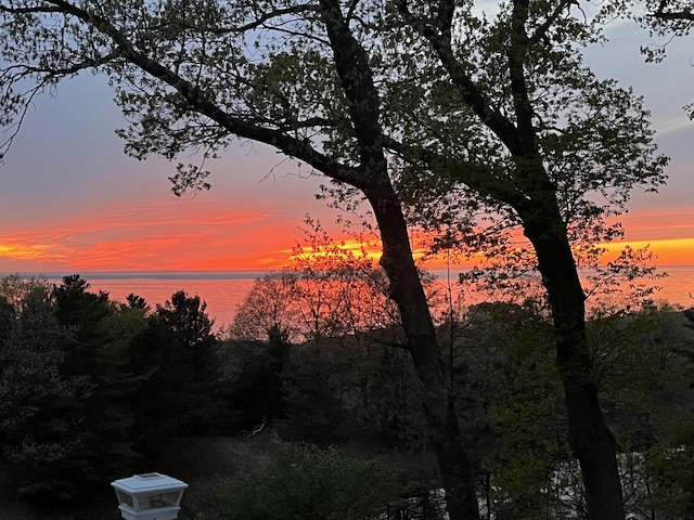 nature at dusk with a water view