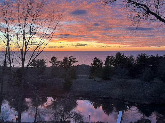 nature at dusk featuring a water view