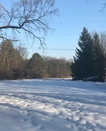 0000 Rhor Rd, Auburn Hills MI, 48326 land for sale