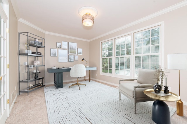 carpeted office featuring baseboards and ornamental molding