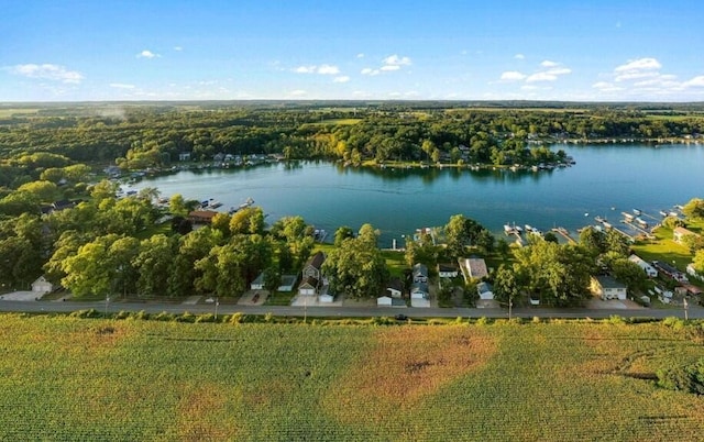 bird's eye view featuring a water view