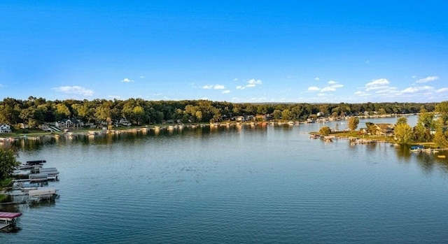 water view with a wooded view