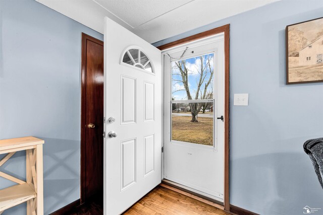 entrance foyer featuring wood finished floors