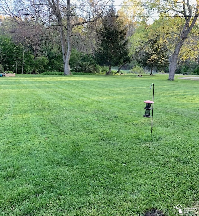 surrounding community featuring a lawn