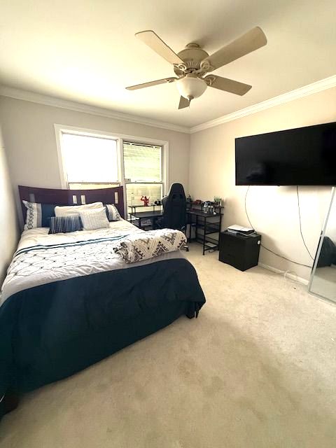 carpeted bedroom featuring ornamental molding and a ceiling fan