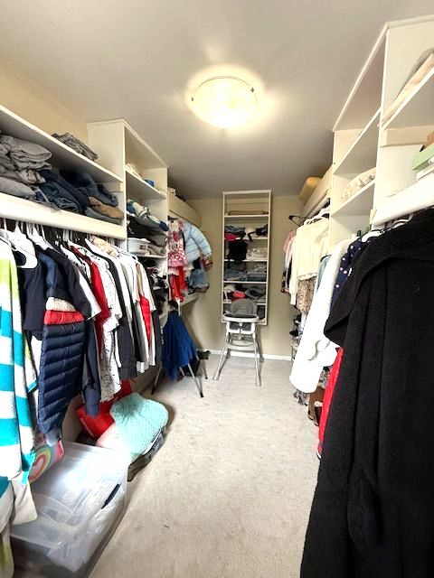 walk in closet featuring carpet floors