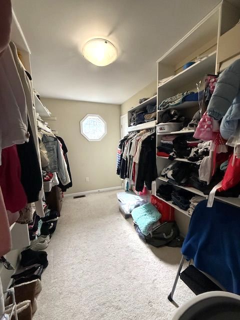 spacious closet with carpet flooring