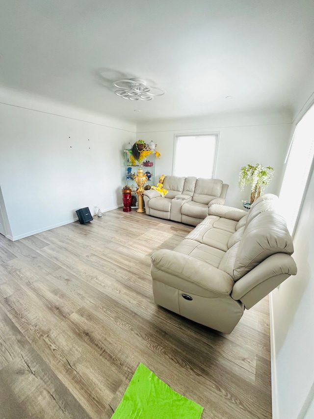 living area featuring wood finished floors