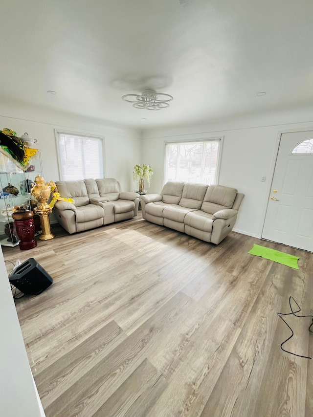 living room featuring wood finished floors