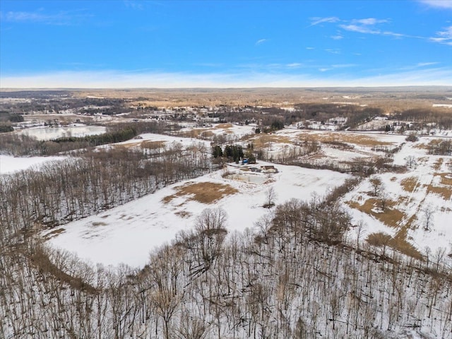 view of snowy aerial view