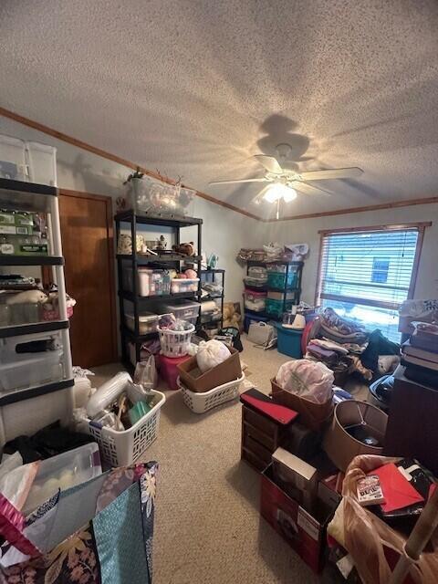 storage room with a ceiling fan