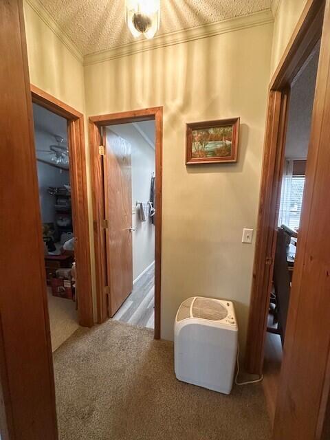 corridor featuring a textured ceiling, crown molding, and carpet flooring