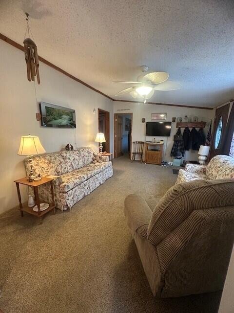 carpeted living area with crown molding, a ceiling fan, and a textured ceiling