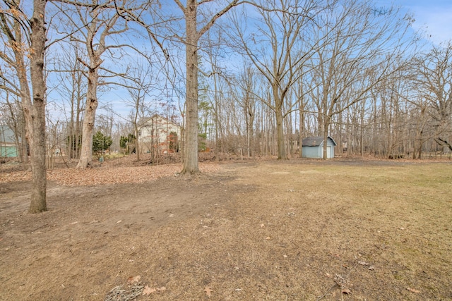 view of yard featuring a storage unit and an outbuilding