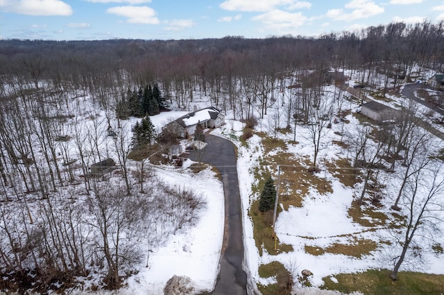 snowy aerial view featuring a view of trees