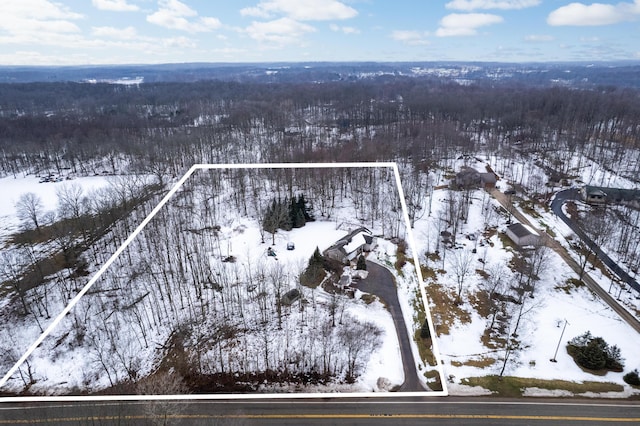 view of snowy aerial view