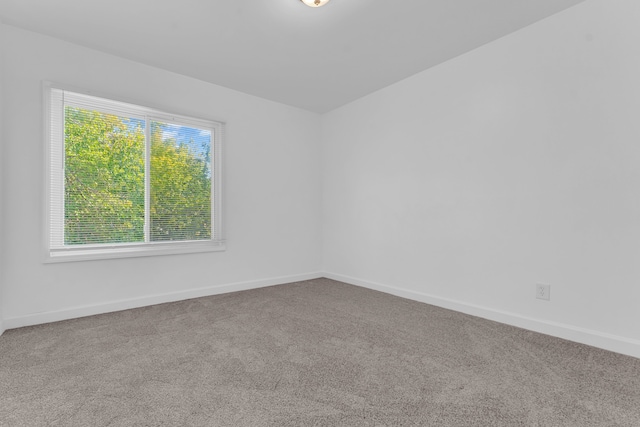 spare room with baseboards and carpet flooring