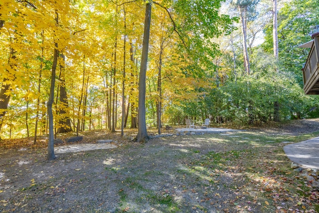 view of yard with a wooded view