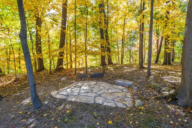 view of yard featuring a forest view