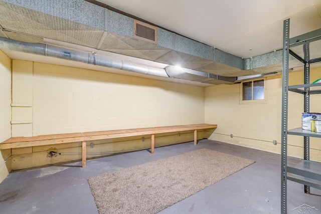 finished basement with visible vents